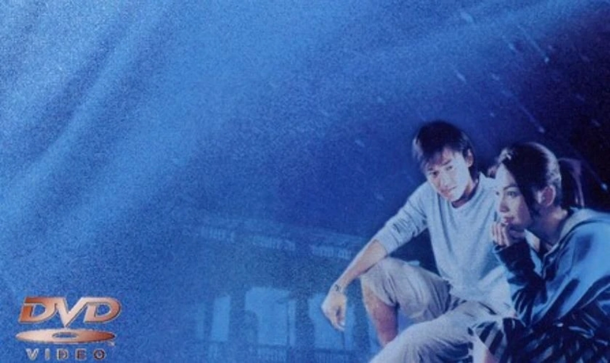 Biệt Luyến (Stolen Love)