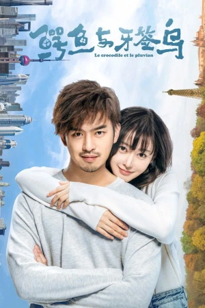 Cá Sấu Và Chim Tăm