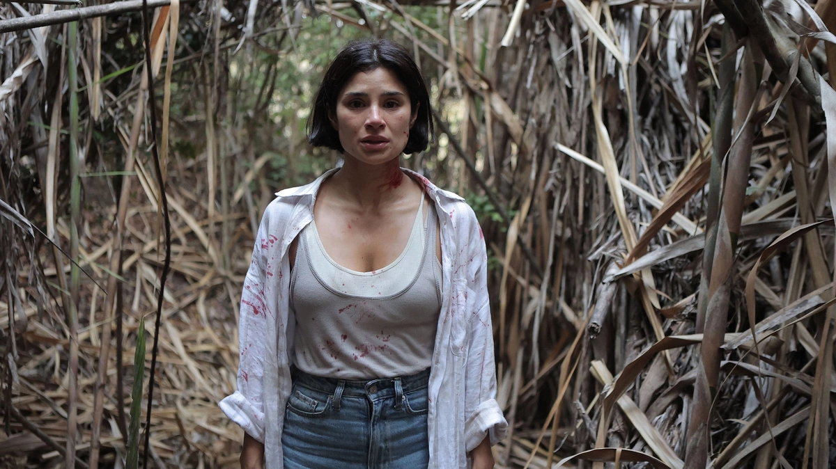 Kẻ Huýt Sáo (The Whistler)